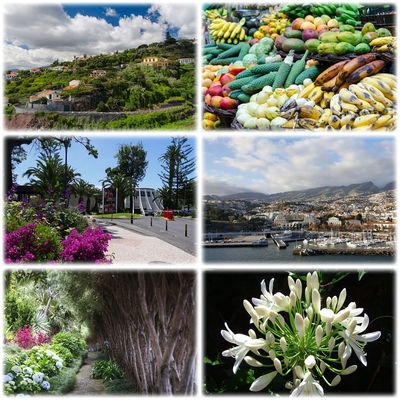 Funchal